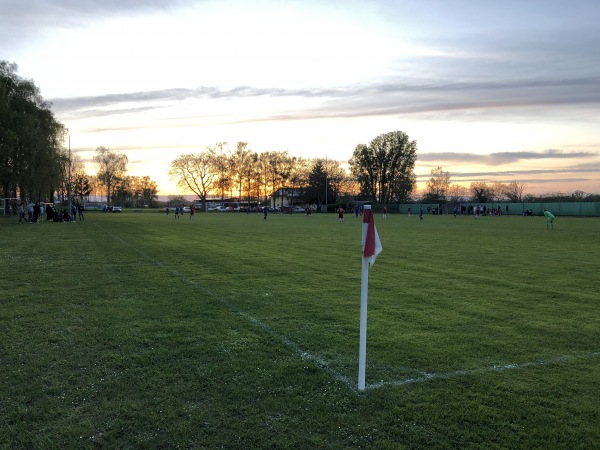 Schloßberg-Stadion Nebenplatz - Vogtsburg/Kaiserstuhl-Achkarren