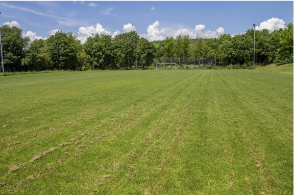 Sportgelände am Weinbergweg Platz 3 - Ulm/Donau-Söflingen