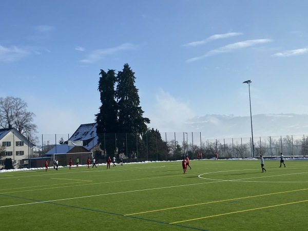 Sportplatz Frohberg Platz 3 - Stäfa