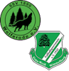 Wappen SG Wolferode/Wimmelburg II (Ground A)