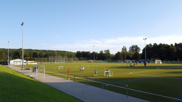 Sportzentrum Fasanerie Platz 2 - Lich/Oberhessen