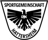 Wappen SG DJK Hattersheim 1966 diverse