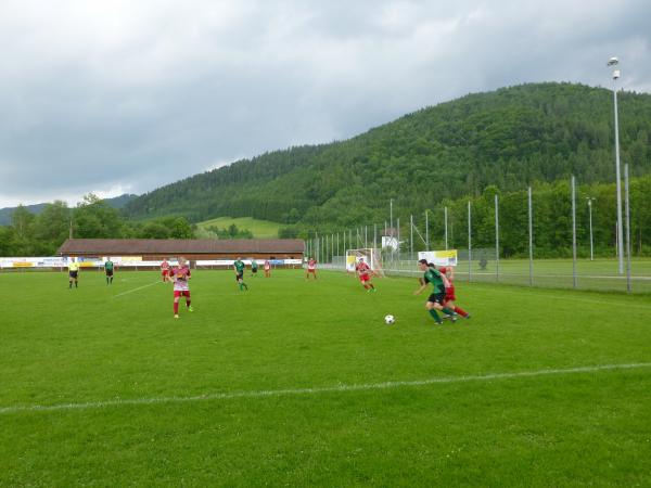 Wolf System Arena - Scharnstein