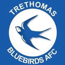 Wappen Trethomas Bluebirds FC  63824