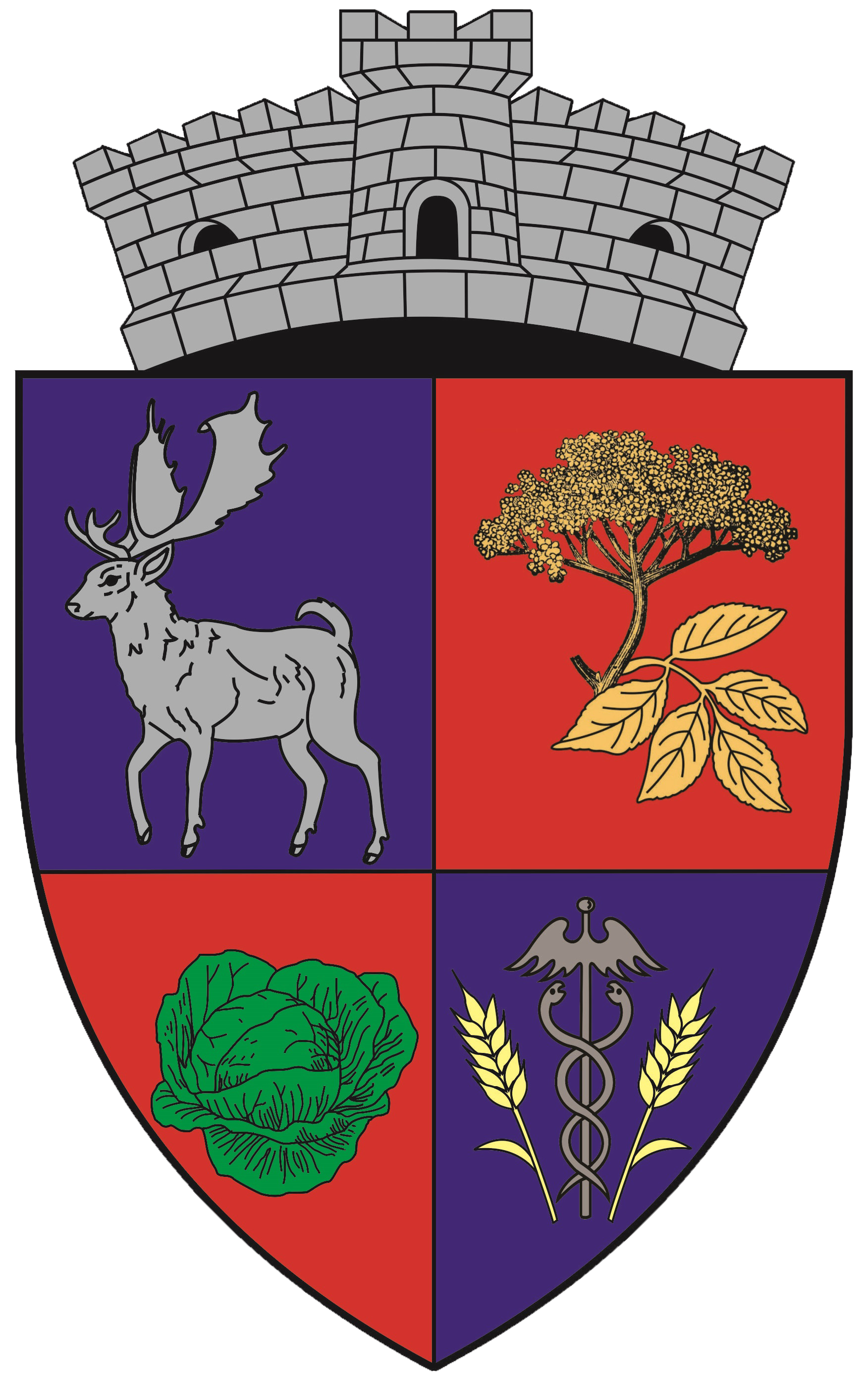 Wappen CS Socodor