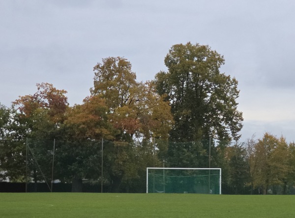 Stadion Miejski w Chojnowie obok - Chojnów