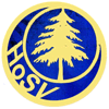 Wappen Hohenfichtener SV 1950