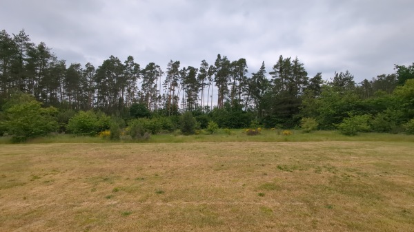 Sportclub-Platz 2 - Roth/Sand