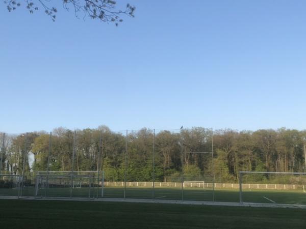 Waldstadion Auf dem Borgkamp Nebenplatz - Oelde-Stromberg