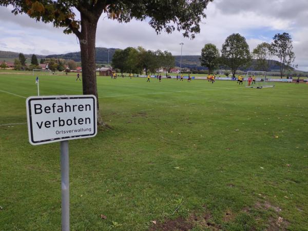 Sportplatz Oberbaldingen - Bad Dürrheim-Oberbaldingen