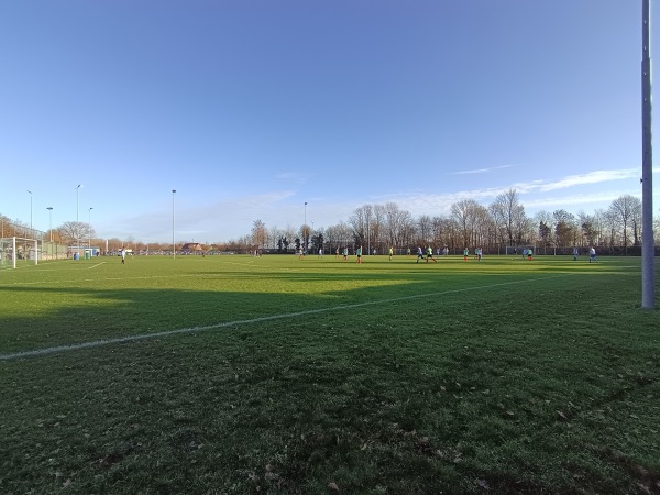 Sportpark Denoek veld 2 - Terneuzen-Hoek