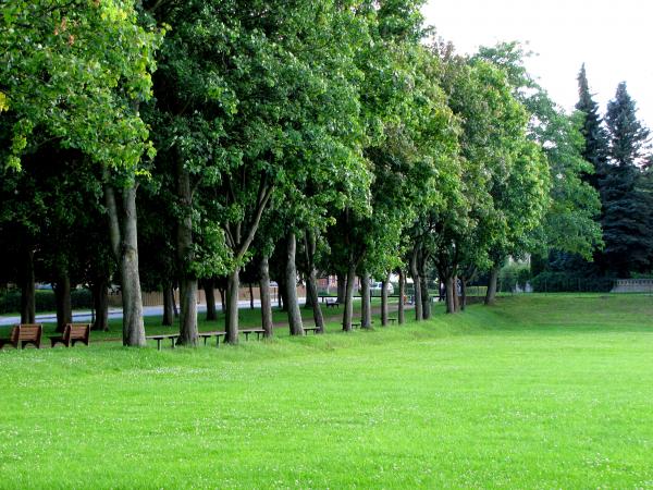 Sportplatz am Schloß - Basedow/Mecklenburg