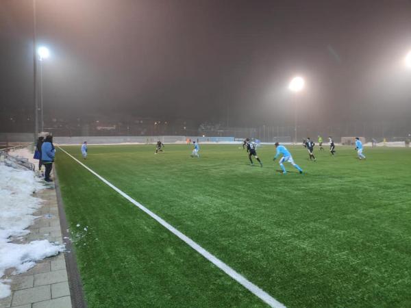 Trainingsgelände Grünwalder Straße Platz 2 - München-Giesing