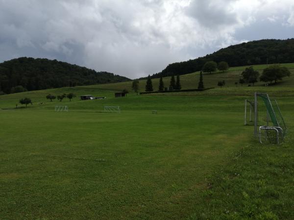 Sportanlage Detzeln Platz 2 - Waldshut-Tiengen-Detzeln