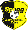 Wappen SpVgg. Bernkastel-Kues 1920 diverse