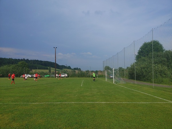 Teichstadion Saaz - Paldau