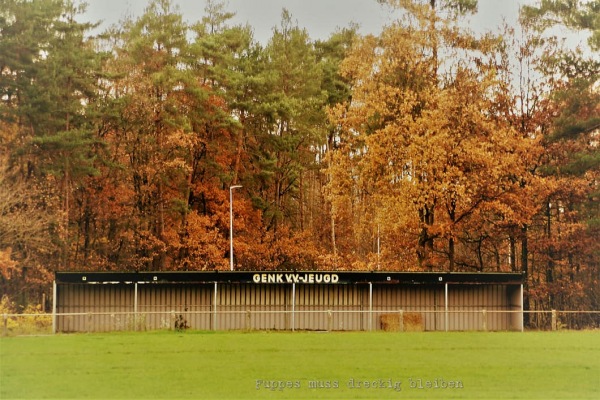 Broeder Marcelstadion Terrein 3 - Genk