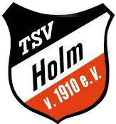 Wappen TSV Holm 1910 diverse  66083