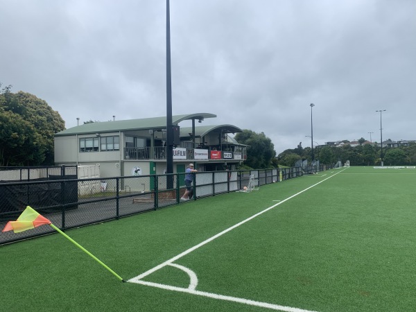Seddon Field - Auckland