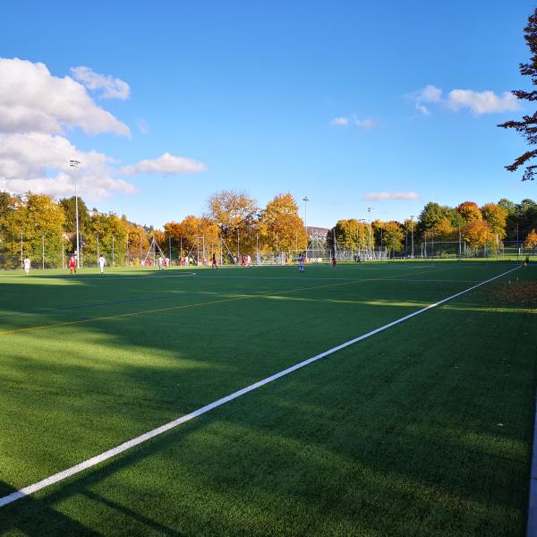 Sportanlage Hardhof Platz 9 - Zürich