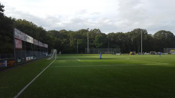 Sportpark Wesselerbrink Midden - Enschede