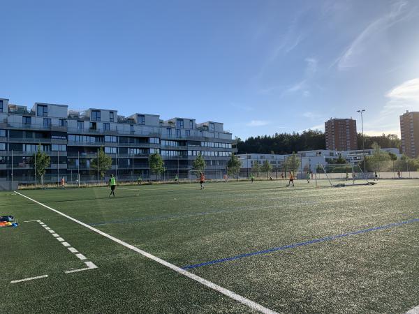 Sportanlage Weissenstein Kunstrasenplatz - Bern