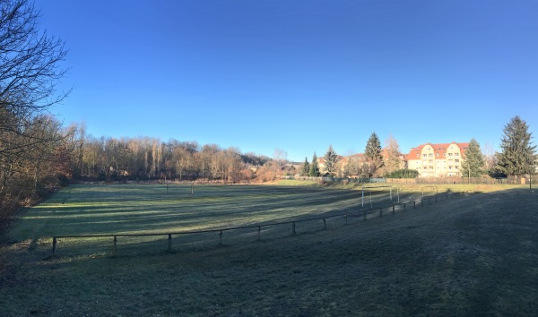 Schwanenschloß-Sportplatz - Zwickau