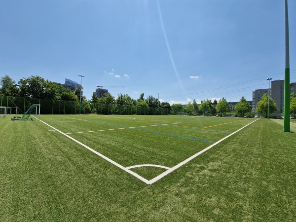 Sportanlage Heerenschürli Platz 2 - Zürich