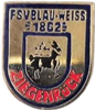 Wappen ehemals FSV Blau-Weiß 1862 Ziegenrück  125151