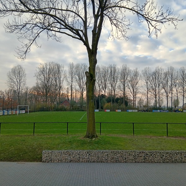 Sportpark Amstelhoef veld 1 - Oss