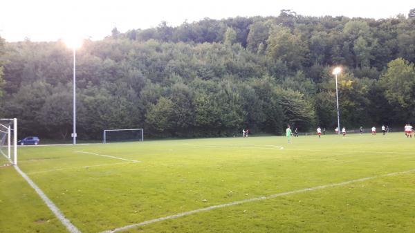 Sportplatz Gerzmatt - Wiedlisbach