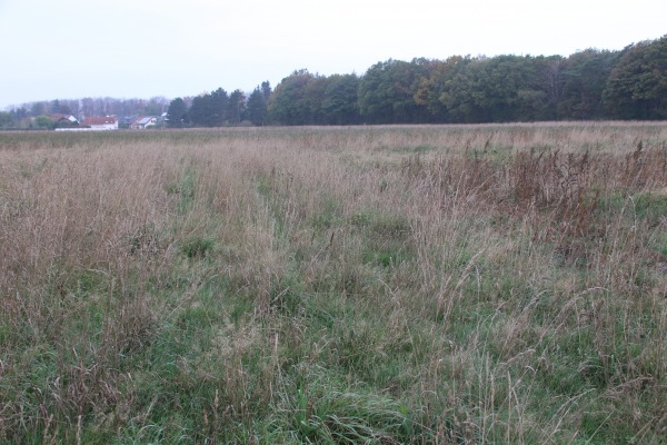 Sportplatz Auf der Heide - Nideggen-Wollersheim