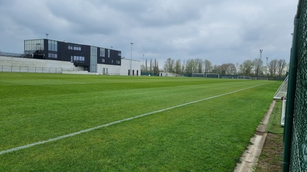 Essevee Academie Terrein 4 - Waregem