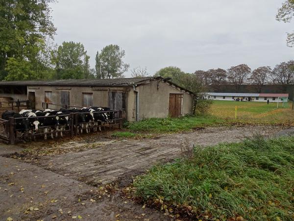 Sportplatz Lindenallee - Dummerstorf-Bandelstorf