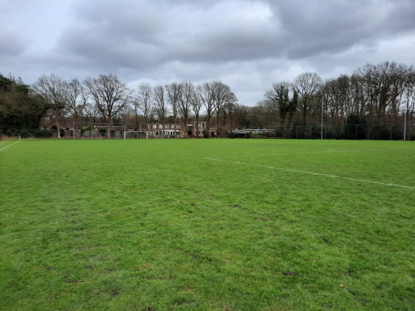 Sportpark Actief veld 2 - Tynaarlo-Eelde