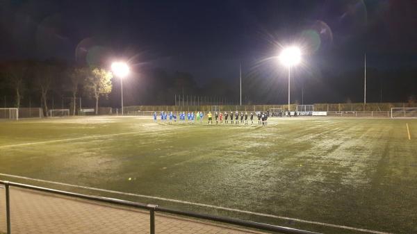 Städtisches Sportzentrum Nonnenholz Platz 2 - Weil/Rhein