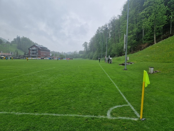 Sportplatz Oberstufenzentrum - Necker