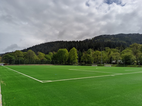 Fußballschule am Möslestadion Platz 3 - Freiburg/Breisgau