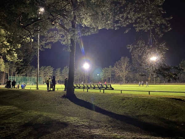 Sportanlage Waldstraße - Waldplatz - Eisenhüttenstadt