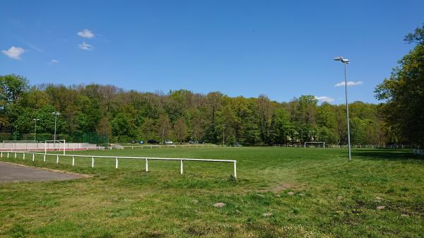Sportplatz am Eisenberg - Frohburg