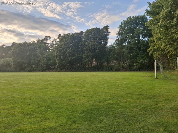 Sportanlage Am Wildpark Platz 2 - Sommerhausen
