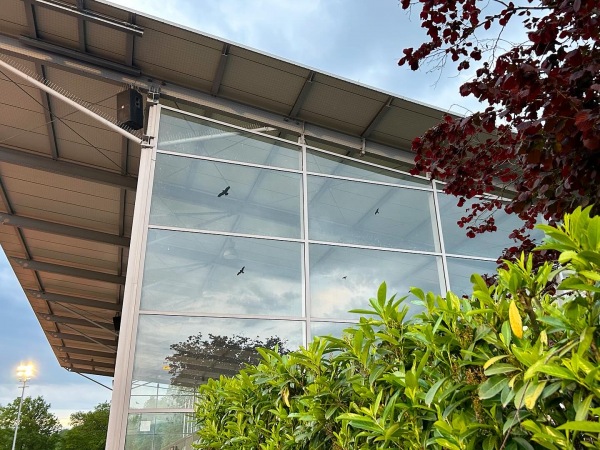 Sportstadion Blumengarten im Sportzentrum - Ingelheim/Rhein
