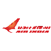 Wappen Air India FC  7461