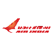 Wappen Air India FC