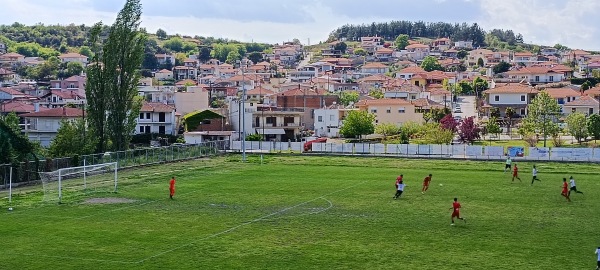 Dimotikó Stádio Megálou Alexándrou Orfaníou - Orfano