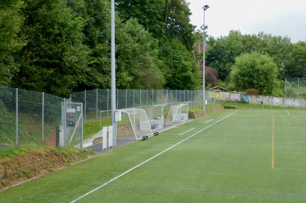 Complexe Sportif de la Fleur de Lys terrain 3 - Prilly