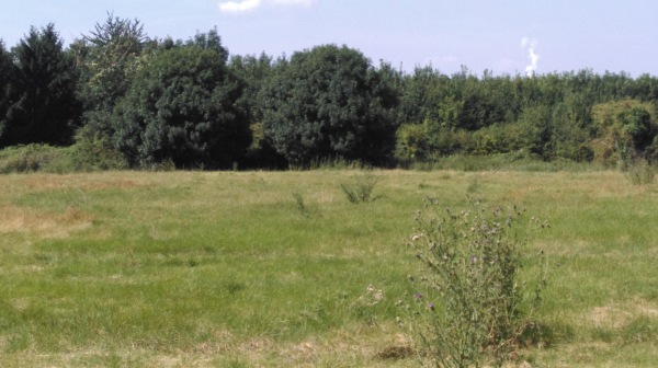 Sportplatz an der Landstraße - Kerpen-Horrem