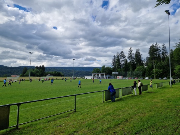 Terrain Sous-le-Mont - Dombresson