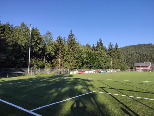 Maik-Löffler-Arena - Titisee-Neustadt