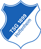 Wappen TSG 1899 Hoffenheim diverse